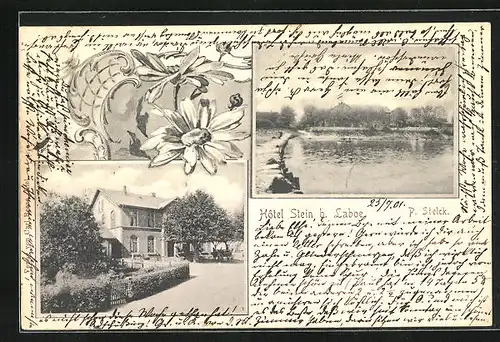 AK Stein bei Laboe, Hotel Stein, Seepartie