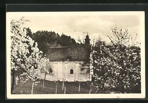 AK Provodov, Kapelle zwichen blühenden Bäumen