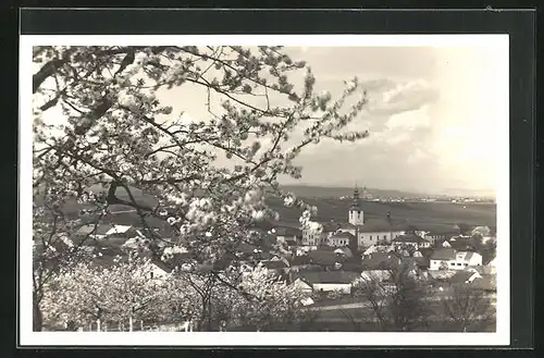 AK Lostice, Blick auf den Ort mit Bäumen