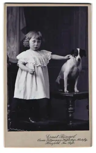 Fotografie Ernst Bingel, Hersfeld, Portrait kleines Mädchen im weissen Kleidchen mit ihrem Terrier im Studio