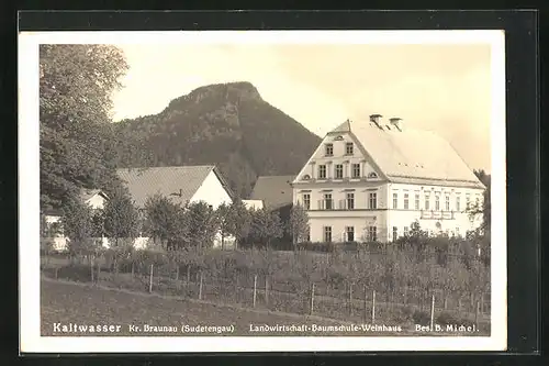 AK Kaltwasser, Landwirtschaft-Baumschule, GasthausWeinhaus