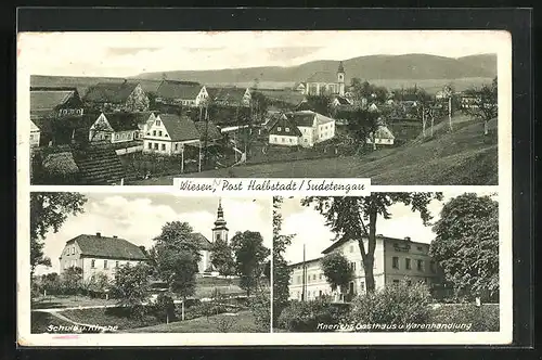 AK Wiesen, Kneriths Gasthaus, Schule u. Kirche, Panorama