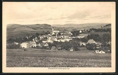 AK Giesshübel /Adlergebirge, Panorama