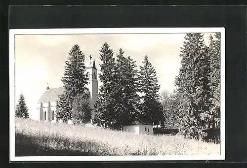 Foto-AK Bohdasin, Ortspartie mit Kirche