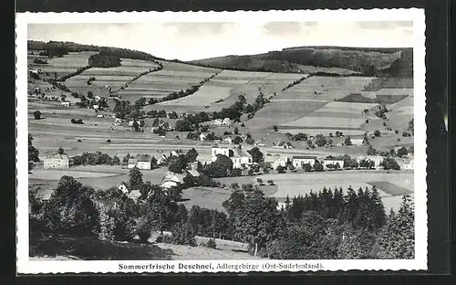 AK Deschnei /Adlergebirge /Ost-Sudetenland, Panorama