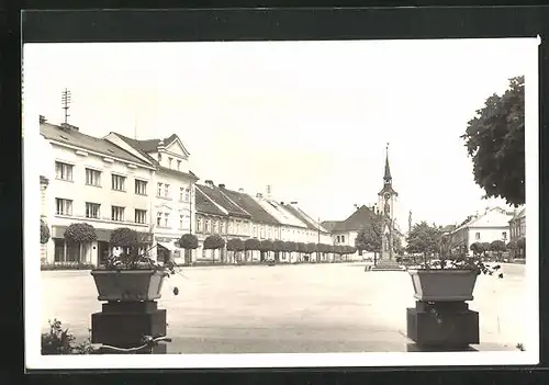 AK Adler Kosteletz / Kostelec nad Orlici, Ortspartie mit Denkmal