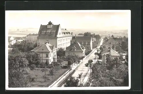 AK Rychnov n. Knez, Strassenpartie mit Gebäudeansicht