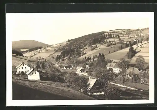 AK Velká Zdobnice, Hauptstrasse durch den Ort