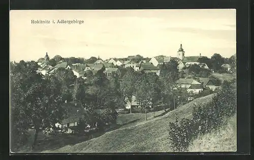 AK Rokitnitz / Rokytnice v Orlickych Horach, Blick von Anhöhe über Stadt