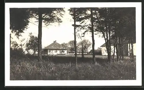 AK Borohrádek, Hütte an Waldpartie