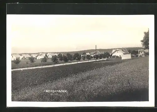 AK Borohradek, Allee am Wohnhausviertel