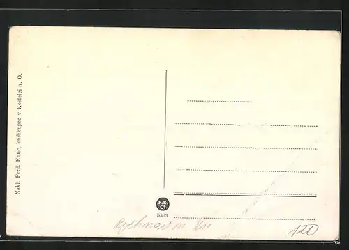 AK Adler Kosteletz / Kostelec nad Orlici, Totalansicht der Stadt