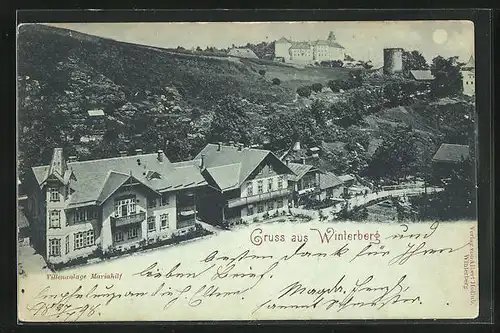 Mondschein-AK Winterberg, Villenanlage Mariahilf, Schloss