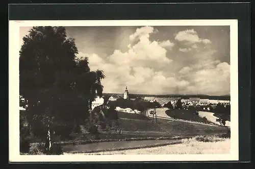 AK Ledenice okres Trhove Sviny, Panorama