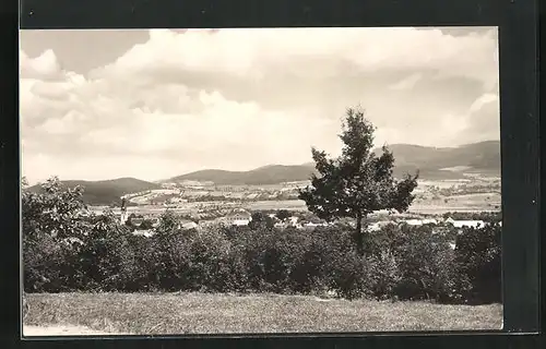 AK Lhenice, Panorama