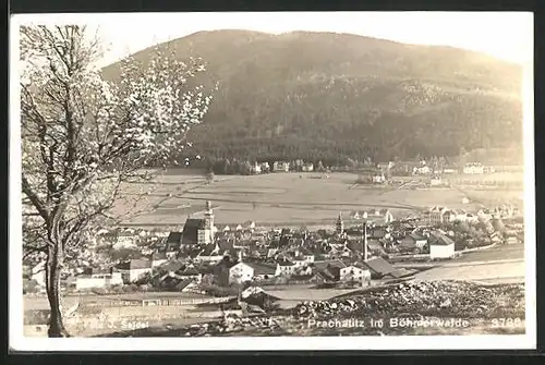 AK Prachatitz im Böhmerwald, Panorama
