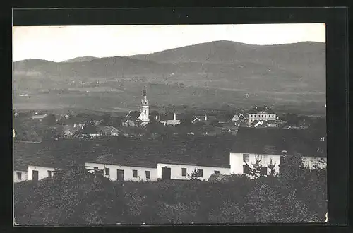 AK Lhenice u Netolic, Panorama