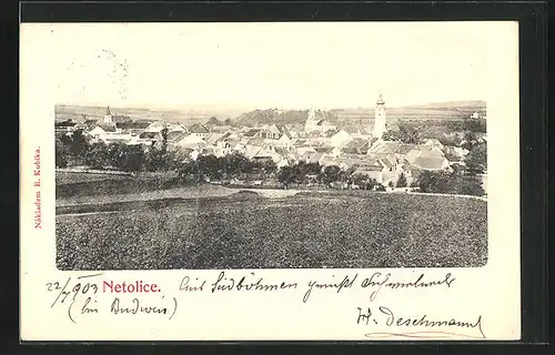 AK Netolice, Panorama