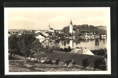 AK Netolice, Panorama