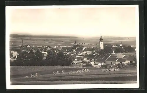 AK Netolice, Panorama