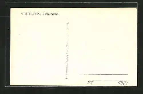 AK Wallern i. Böhmerwald, Panorama