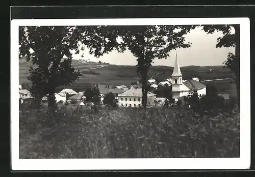 AK Stachy, Letovisko Kral. Hvozd, Panorama