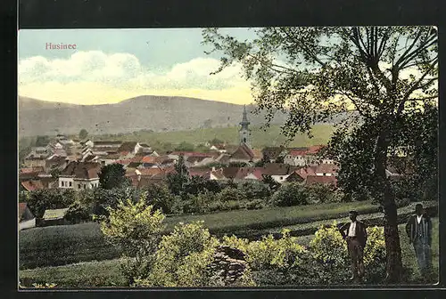 AK Husinec, Panorama