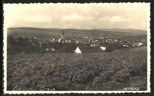 AK Netolice, Panorama