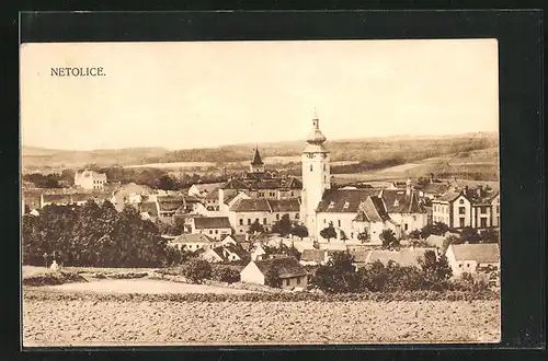 AK Netolice, Panorama