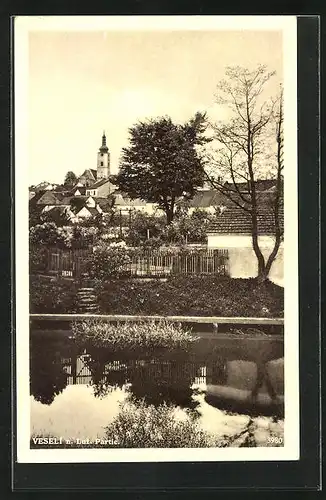 AK Veseli n. Luz, Partie