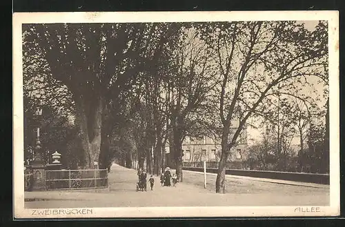 AK Zweibrücken, Allee mit Passanten