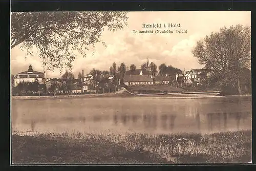AK Rheinfeld i. Holst, Teilansicht Neuhöfer Teich