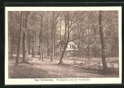 AK Bad Schwartau, Waldpartie mit der Waldhalle