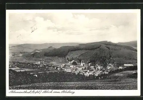 AK Blumenthal /Eifel, Blick vom Bleiberg auf den Ort