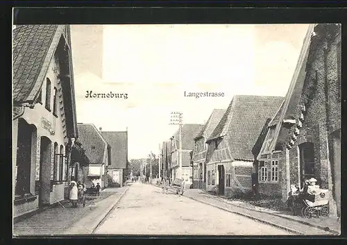 AK Horneburg, Bauernhäuser in der Langestrasse