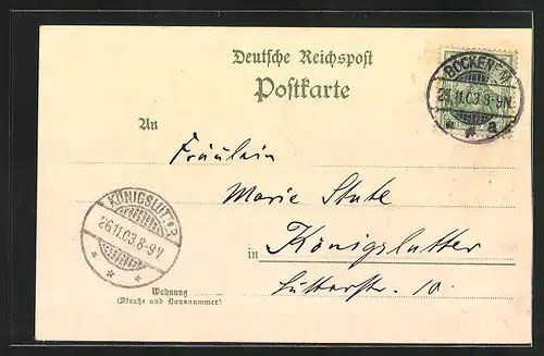 Lithographie Bockenem, Totalansicht, Marktplatz