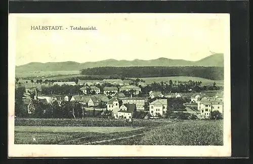 AK Halbstadt, Totalansicht