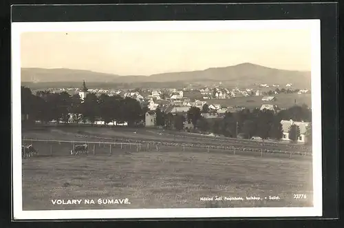 AK Volary na Sumave, Blick über Viehweiden auf den Ort