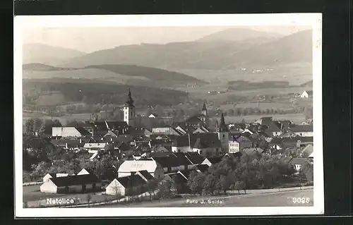 AK Netolice, Panorama