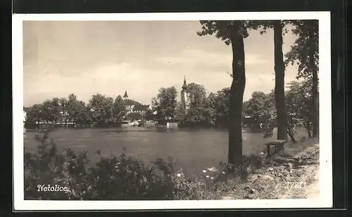AK Netolice, Uferpartie mit Bäumen