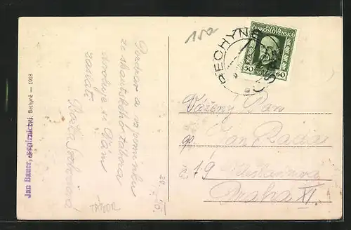 AK Bechyne, Celkovy pohled