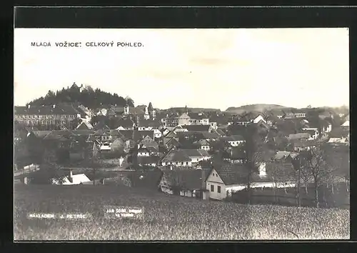 AK Mlada Vozice, Celkovy pohled