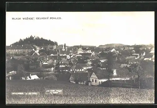 AK Mlada Vozice, Celkovy pohled