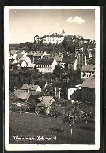 AK Winterberg im Böhmerwald, Teilansicht mit Schloss