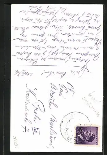 AK Borsov, Villa am Waldrand