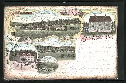 Lithographie Bockswiese, Hotel und Kurhaus, Das Privathaus, Totalansicht