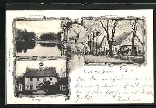 AK Jersbek, Gasthaus Fasanenhof, Schlossteich, Thorhaus