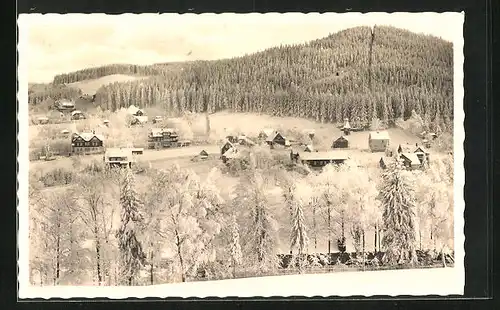 AK Bärenfels i. Erzgeb., Verschneiter Ort mit angrenzendem Wald