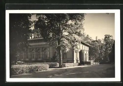 AK Bad Freienwalde, Kurhaus mit Garten