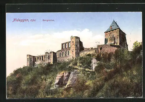 AK Nideggen /Eifel, Blick auf Burgruine